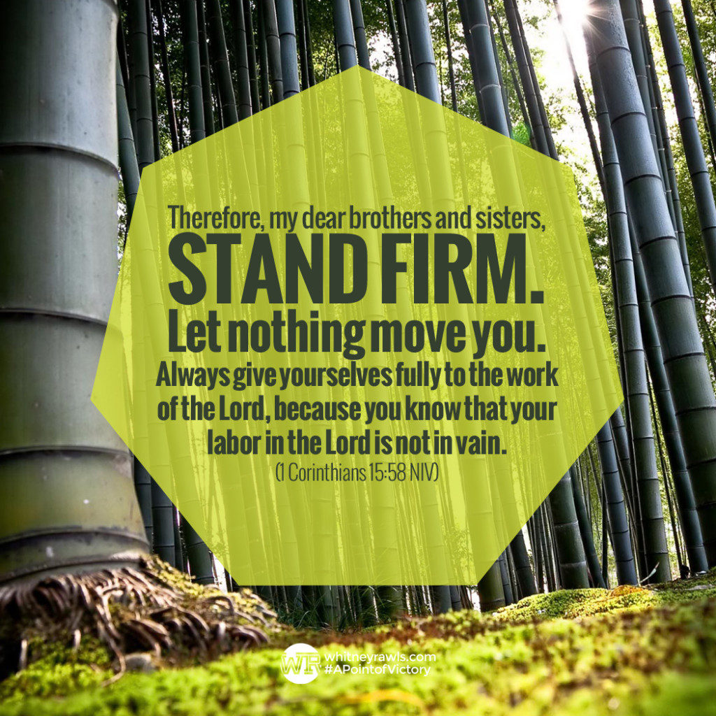 Stand Firm Synonym at Walter Paulus blog